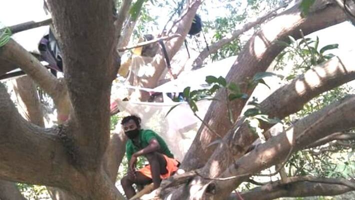 West Bengal youth set up tent on trees to evict corona Viral Photos .. !! West Bengal youth set up tent on trees to evict corona Viral Photos .. !!