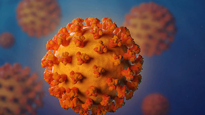 dont panic coronavirus...doctor Nageshwar Reddy information dont panic coronavirus...doctor Nageshwar Reddy information