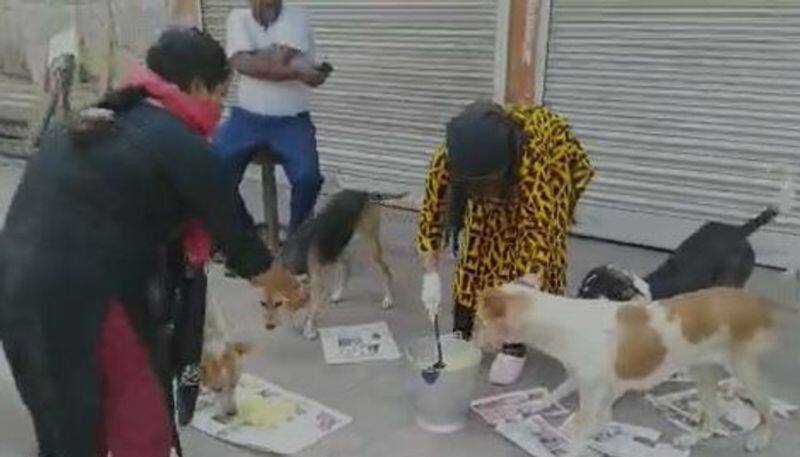 fire men provided food to street dogs