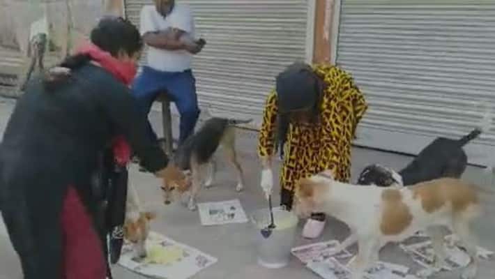 Animal lovers feeds street Dogs in Behala at Kolkata Animal lovers feeds street Dogs in Behala at Kolkata