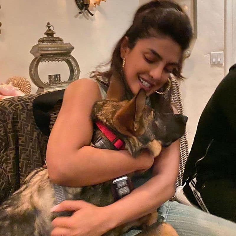 How it feels to meet Priyanka Chopra in real life, fans reveal true