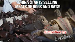 Even as world battles coronavirus, China restarts selling bats!