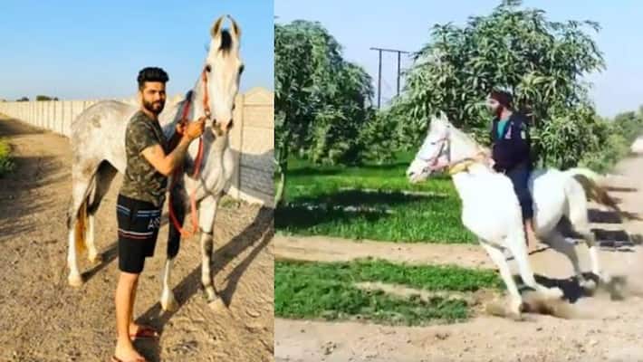 Coronavirus lockdown Ravindra Jadeja horse rider spends time with favourites video Coronavirus lockdown Ravindra Jadeja horse rider spends time with favourites video