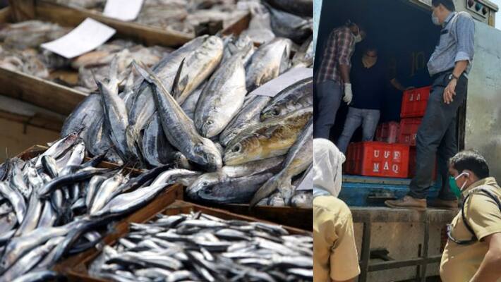 operation sagar rani seized one lakh kilo fish in 8 days operation sagar rani seized one lakh kilo fish in 8 days
