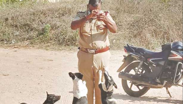 fire men provided food to street dogs fire men provided food to street dogs