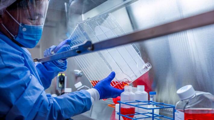 american peter's berg university scientists announce invented vaccine for corona virus american peter's berg university scientists announce invented vaccine for corona virus