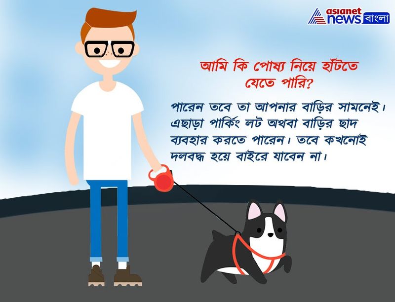 বাড়ির পোষ্য নিয়ে হাঁটতে যেতেই পারেন। তবে নিরাপত্তার কারণে এড়িয়ে চলুন জটলা।