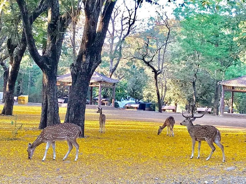 Best travel places near Kolkata RTB