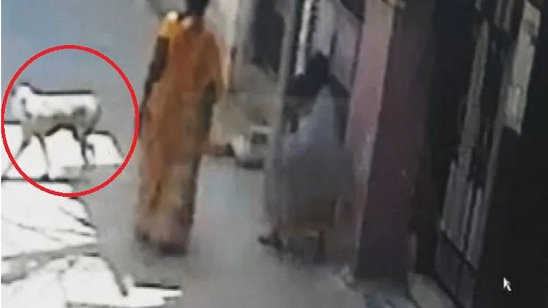 सोशल मीडिया पर इस तस्वीर को बिहार के भागलपुर का बताया जा रहा है। दरअसल, ये तस्वीर सीसीटीवी का ग्रैब है।
