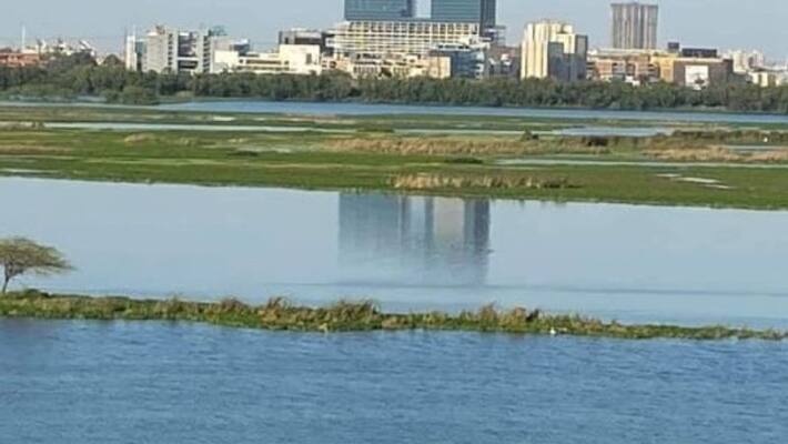 Woman throws 5 children into Ganga river after fight with husband Woman throws 5 children into Ganga river after fight with husband