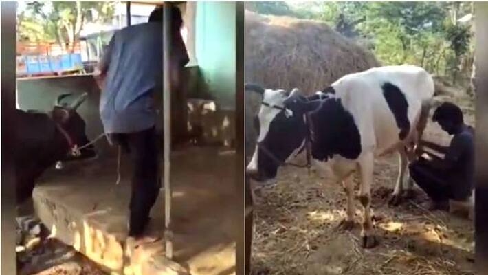 vijay tv comedian deena latest video goes viral vijay tv comedian deena latest video goes viral