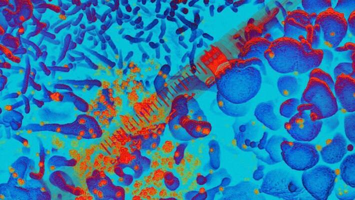 Study shows anti-parasitic drug ivermectin kills coronavirus within 48 hours Study shows anti-parasitic drug ivermectin kills coronavirus within 48 hours