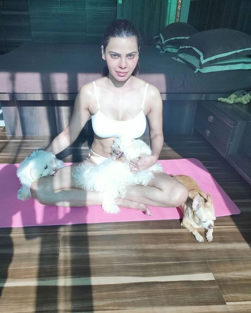 Sherlyn Chopra tells fans to take up yoga