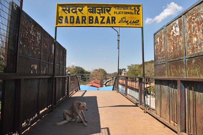 लॉकडाउन खत्म होने के बाद भी प्राइवेट यातायात बंद रहेगा। इसमें बस सर्विस, टैक्स और ऑटो शामिल हैं। विशेष परिस्थितियों में वजह बताने के बाद ही लोग अपने राज्य जा सकेंगे। उसके लिए भी कोरोना टेस्ट कराना होगा।