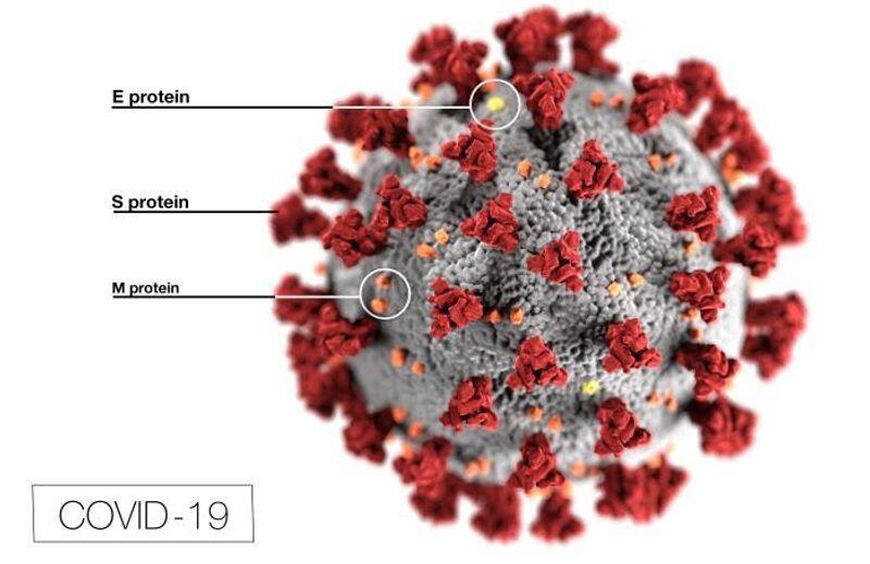 The artist behind the viral Novel Coronavirus illustration of CDC