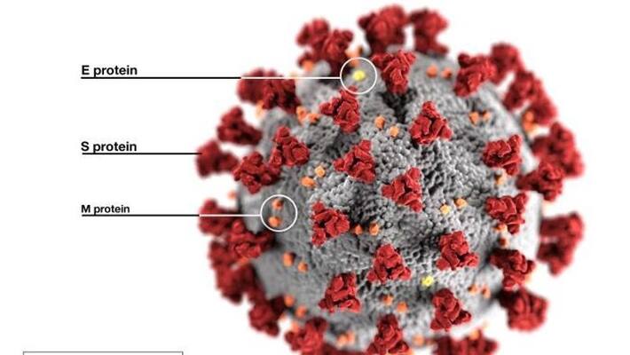 Coronavirus : Omicron less likely to cause long COVID than Delta variant: Lancet study Coronavirus : Omicron less likely to cause long COVID than Delta variant: Lancet study