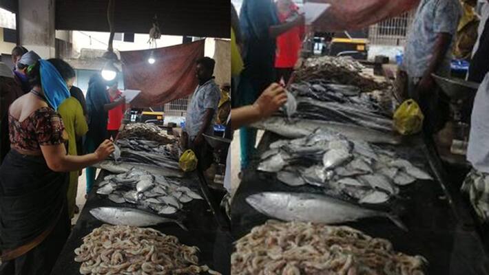 operation sagar rani 350 kg of old fish destroyed operation sagar rani 350 kg of old fish destroyed
