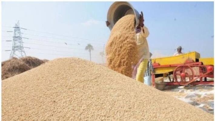 procurement of paddy palakkad will start on tuesday procurement of paddy palakkad will start on tuesday