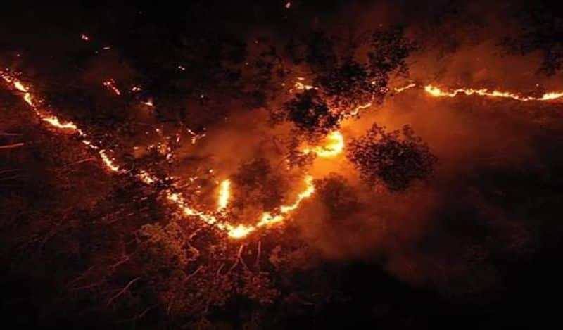 Uttarakhand's violent forest fires: The burning issue and threat to nature RTM