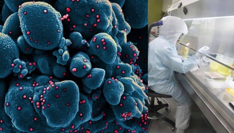 corona virus surviving 140  Celsius  heat - researchers says testing report