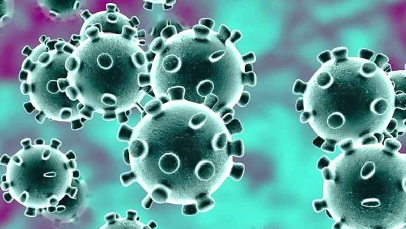 nellai youth recovered from corona virus and discharged from hospital