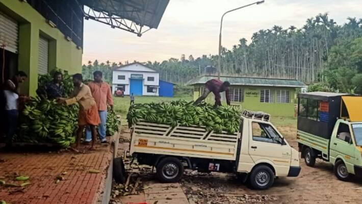 horticorp will store vegetables and fruits in wayanad horticorp will store vegetables and fruits in wayanad