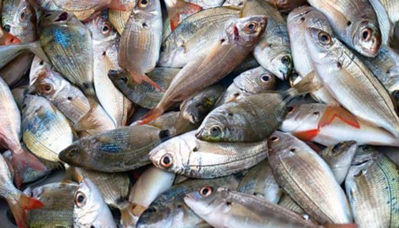 Fish rate during covid 19 lockdown in kerala