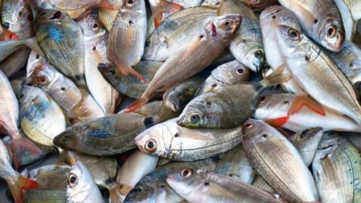 high price for fish and meat in wayanad high price for fish and meat in wayanad