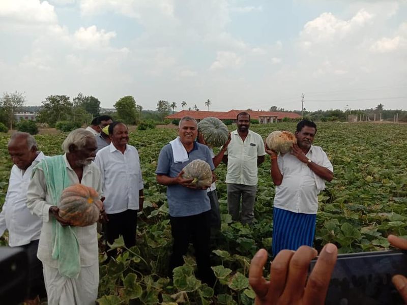 Maluru Congress MLA KY Nanjegowda bought Farmers vegetable crop Due To Corona Lock Down