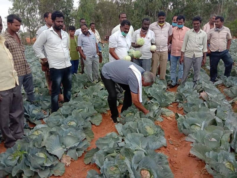 Maluru Congress MLA KY Nanjegowda bought Farmers vegetable crop Due To Corona Lock Down