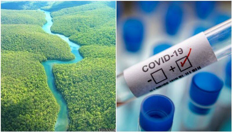 15-year-old boy from isolated Amazon tribe in Brazil dies after being infected with coronavirus