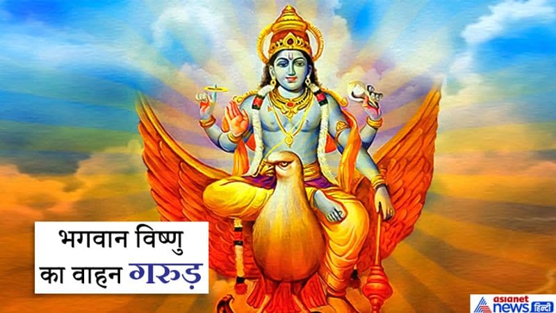 भगवान विष्णु का वाहन गरुड़
भगवान विष्णु का वाहन गरुड़ है। इसे पक्षियों का राजा भी कहते हैं। गरुड़ की विशेषता है कि यह आसमान में बहुत ऊंचाई पर उड़कर भी धरती के छोटे-छोटे जीवों पर नजर रख सकता है। उसमें बहुत शक्ति होती है। वैसे ही भगवान विष्णु सबका पालन करने वाले तथा प्रत्येक जीव का ध्यान रखने वाले होते हैं। उनकी नजर सदा प्रत्येक जीव पर होती है। उन पर सबकी रक्षा का भार भी है। इसलिए वह परम शक्तिशाली हैं।