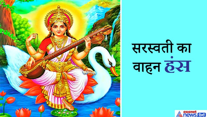 सरस्वती का वाहन हंस
मां सरस्वती का वाहन हंस है। हंस का एक गुण होता है कि उसके सामने दूध एवं पानी मिलाकर रख दें तो वह केवल दूध पी लेता हैं तथा पानी को छोड़ देता है। यानी वह सिर्फ गुण ग्रहण करता है व अवगुण छोड़ देता है। देवी सरस्वती विद्या की देवी हैं। गुण व अवगुण को पहचानना तभी संभव है, जब आप में ज्ञान हो। इसलिए माता सरस्वती का वाहन हंस है।