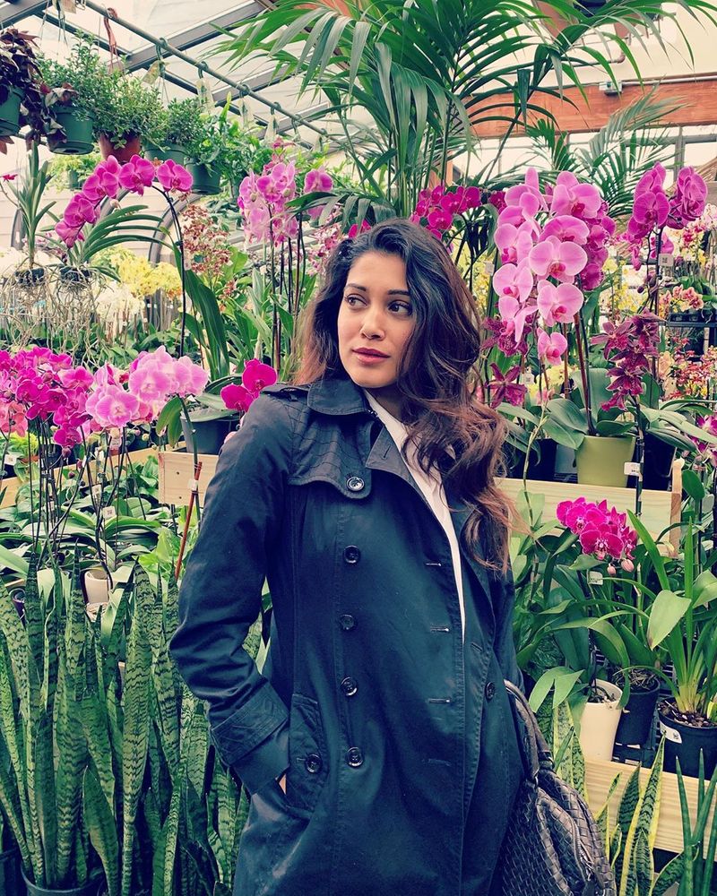 Aneshajoshi