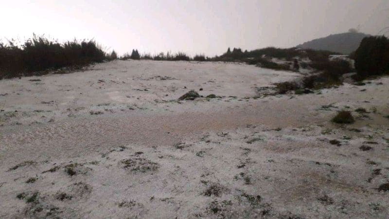 It is reported that the sand storm was followed by mild showers