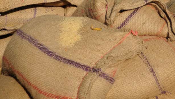ration shop worker arrested for trafficking corona relief rice ration shop worker arrested for trafficking corona relief rice