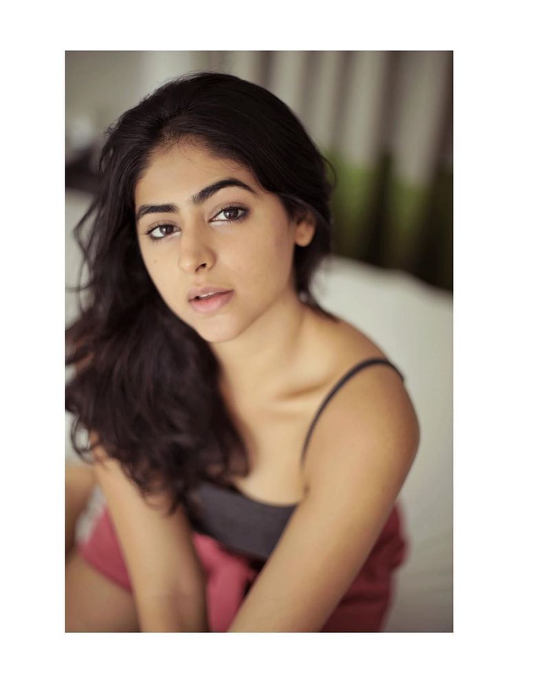 Palak