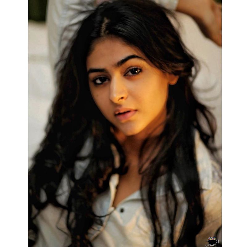 Palak
