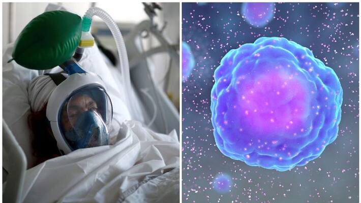 Are the young covid patients betrayed by their own immune system, what is cytokine storm? Are the young covid patients betrayed by their own immune system, what is cytokine storm?
