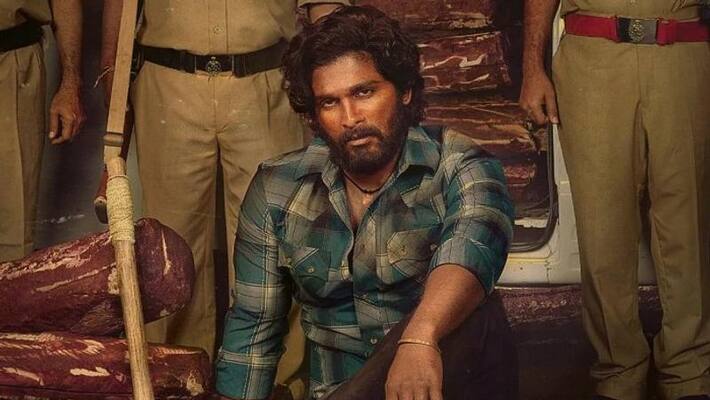 Bollywood Hero As Villain in Allu Arjun Pushpa Bollywood Hero As Villain in Allu Arjun Pushpa