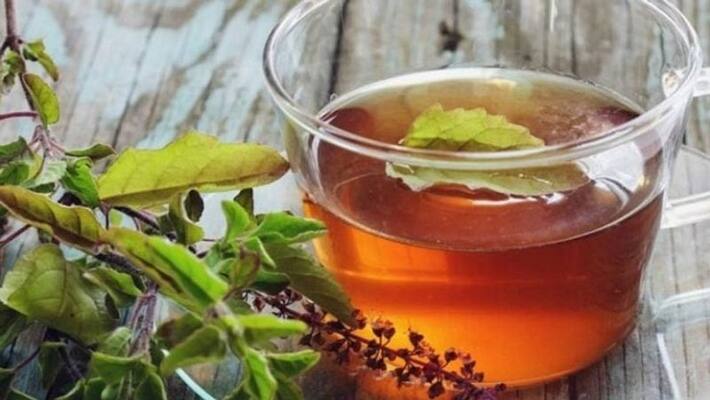 Drink basil tea to fight Corona virus, how to prepare MJA Drink basil tea to fight Corona virus, how to prepare MJA
