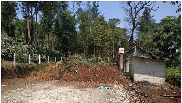 karnataka government place spine plants in border check post in kutta wayanad karnataka government place spine plants in border check post in kutta wayanad