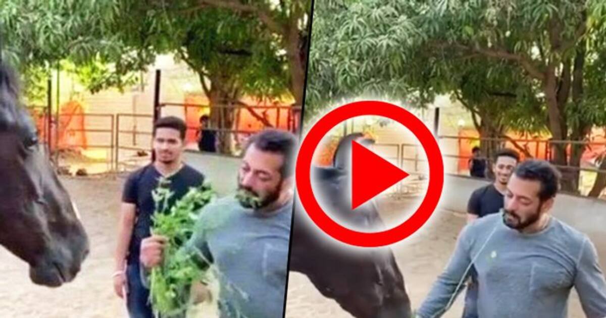 Salman Khan eats coriander leaves with horse; shortage of essentials?
