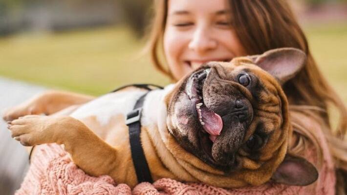 Lockdown: Pets remove anxiety and stress, these are the 5 benefits of having a pet MJA Lockdown: Pets remove anxiety and stress, these are the 5 benefits of having a pet MJA