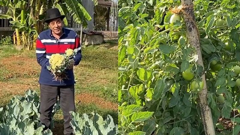 वैसे आपको बता दें कि इस उम्र में भी धर्मेंद्र सोशल मीडिया पर एक्टिव रहते हैं। वे अक्सर अपने इंस्टाग्राम पर कुछ न कुछ पोस्ट करते ही रहते हैं। फिल्मों से दूर धर्मेंद्र का ज्यादातर वक्त लोनावला के फॉर्महाउस पर गुजरता है। वे यहां ऑर्गेनिक खेती करते हैं। उनका ये फॉर्महाउस 100 एकड़ में फैला है।