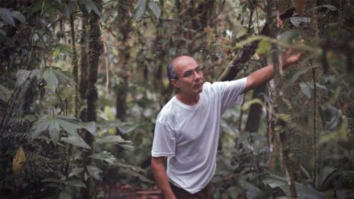 Omar Tello man who recreate a forest Omar Tello man who recreate a forest