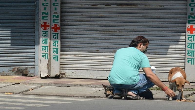 पश्चिम बंगाल के सिलीगुड़ी शहर में एक दवा दुकान का मालिक कुत्ते को खाना खिला रहा है।