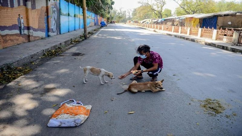 लॉकडाउन के दौरान इलाहाबाद में एक सूनी सड़क पर स्ट्रे डॉग्स को खाना खिलाता शख्स। ऐसे लोगों की कमी नहीं है जो बेजुबान जानवरों के लिए दया की भावना रखते हैं।
