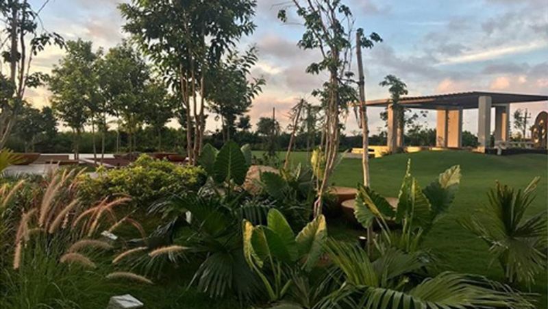 धोनी के घर में स्मार्ट फीचर्स की बजाय प्राकृतिक सुंदरता का ज्यादा ध्यान रखा गया है।