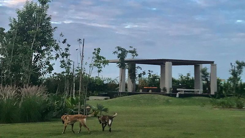 धोनी के इस घर में उनकी बाइक रखने के लिए शानदार गैराज भी है।
